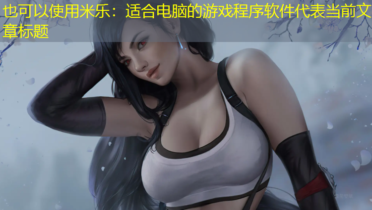 适合电脑的游戏程序软件